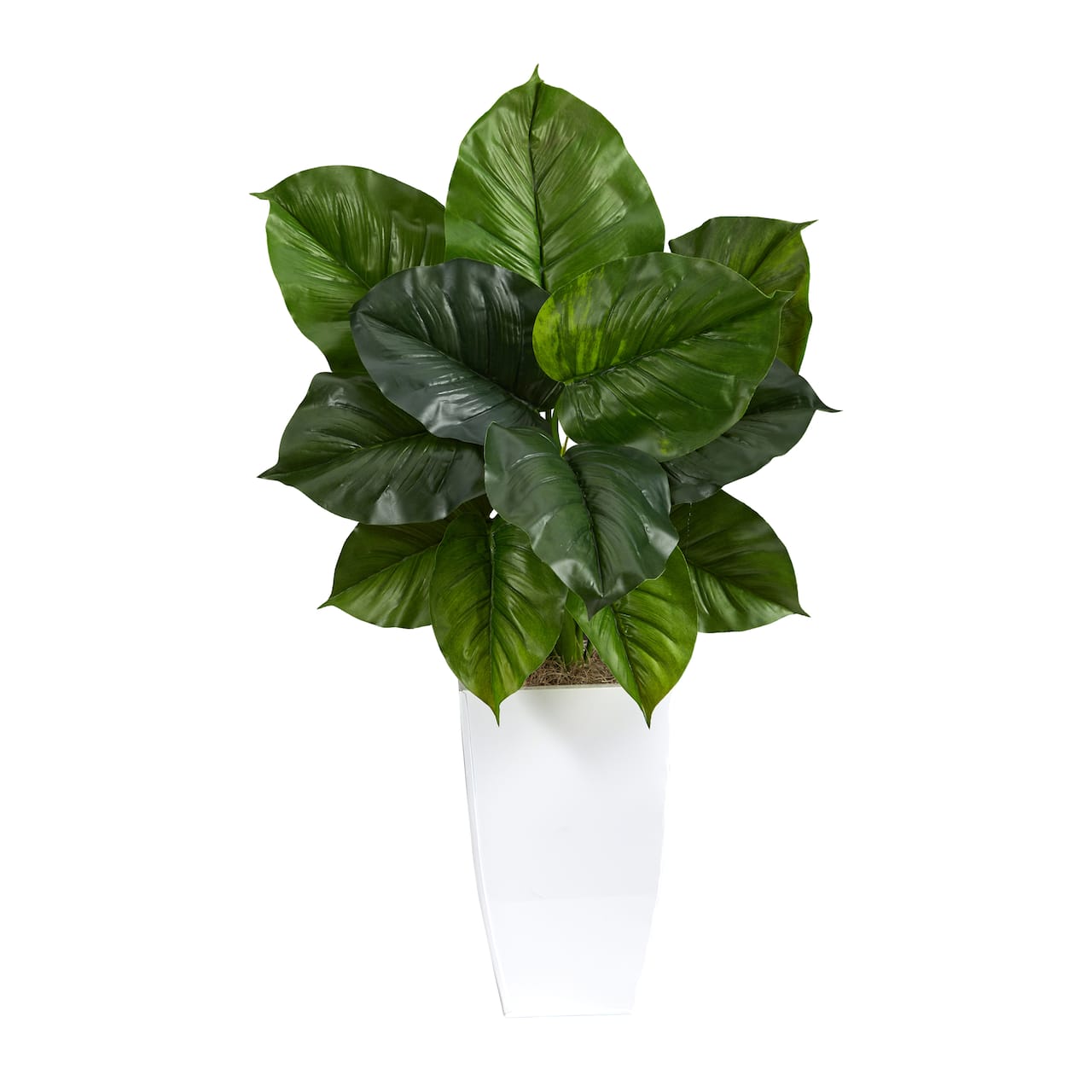 3ft. Large Philodendron Leaf Plant in White Metal Planter